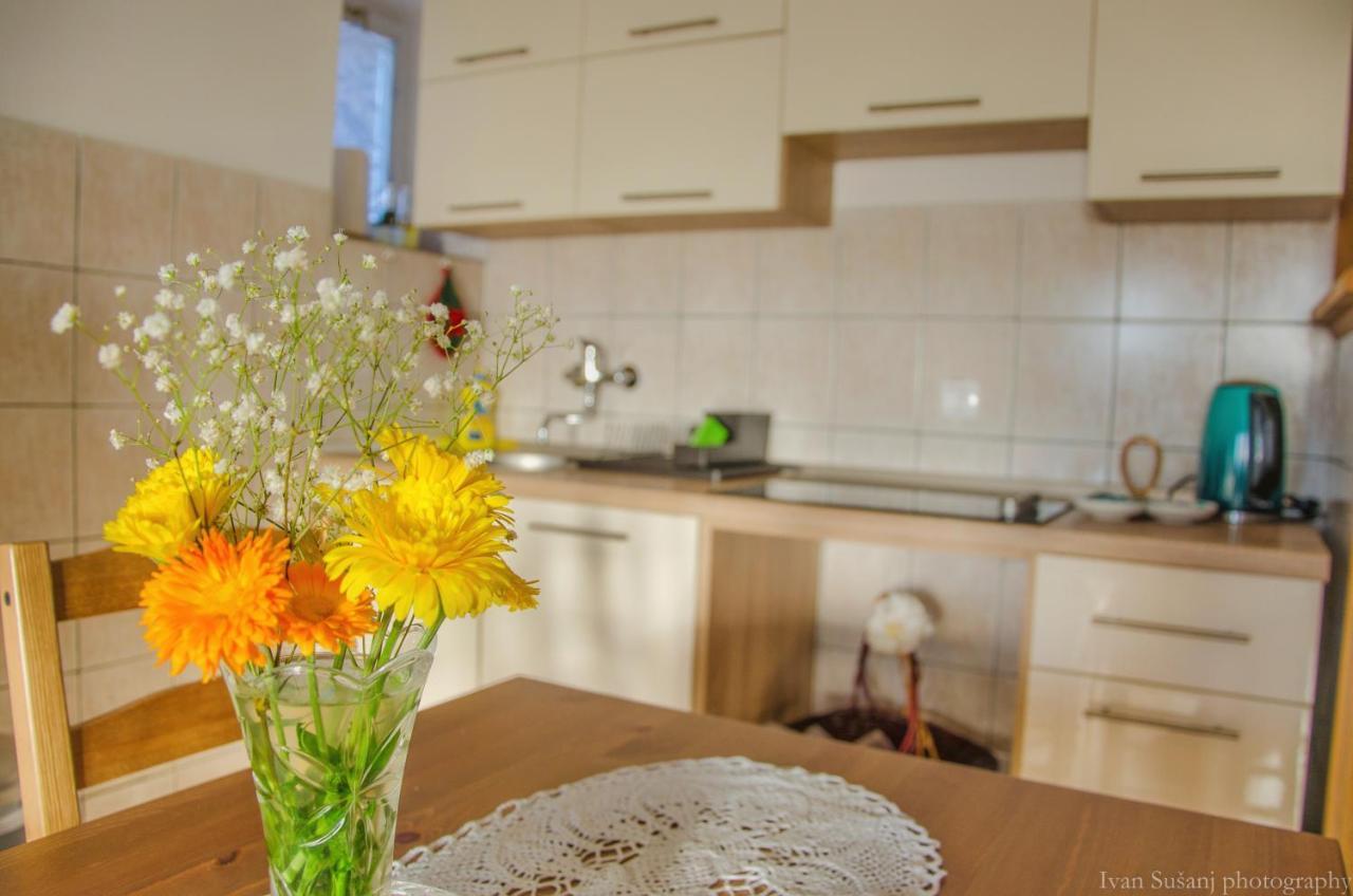 Apartment Rasce オグリン エクステリア 写真